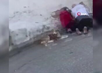 Sokak ortasındaki cinayetin sebebi ortaya çıktı