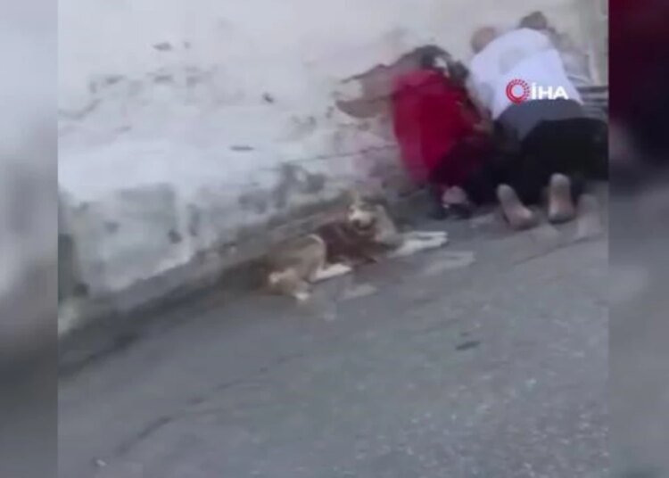 Sokak ortasındaki cinayetin sebebi ortaya çıktı