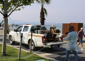 Edremit’te Sivrisinek ile Mücadeleye Hız Verildi