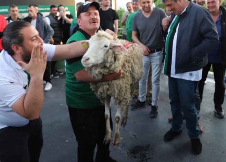 Kocaelispor taraftarlarından eşi benzeri görülmemiş koyunlu istifa çağrısı