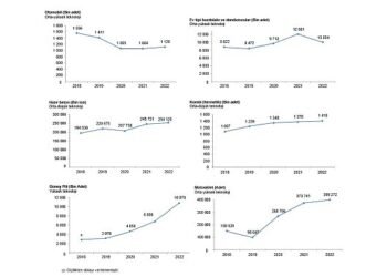 Ülkemizde 1 milyon 119 bin 615 adet otomobil üretildi