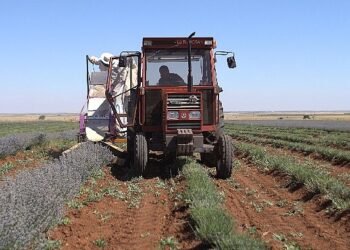 Başkan Altay: “Şehrimizin Kalkınmasına Katkı Sağlayan Çiftçimizin Yanında Olmaya Devam Edeceğiz”