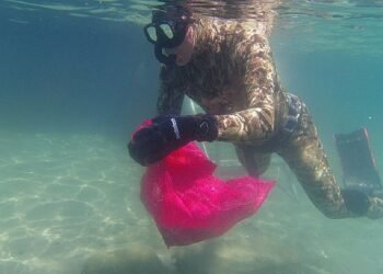Bodrum Belediyesi’nden deniz dibi temizliği 