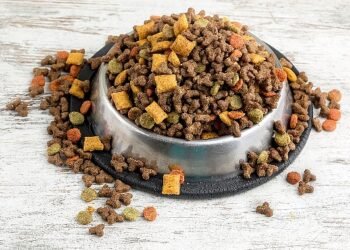 Can dostların mamaları Türkiye’de üretiliyor Türkiye, kedi-köpek maması ihracatında 100 milyon dolar hedef koydu