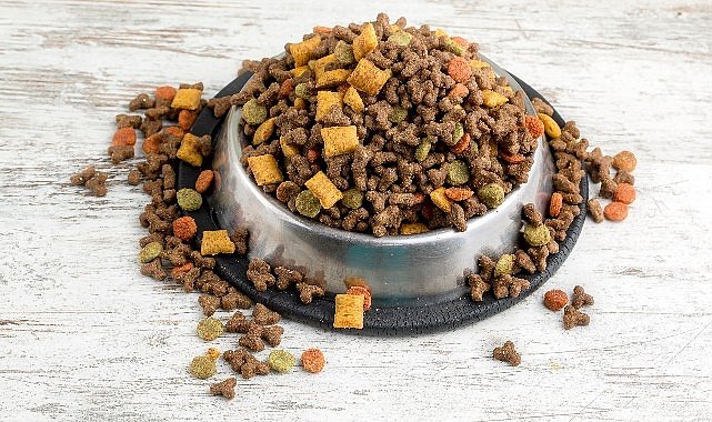 Can dostların mamaları Türkiye’de üretiliyor Türkiye, kedi-köpek maması ihracatında 100 milyon dolar hedef koydu