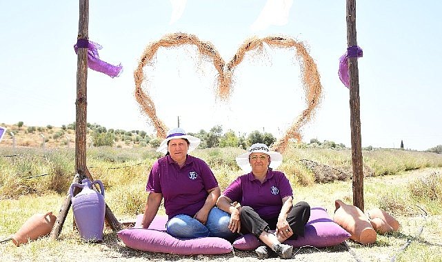 Didim’in Mis Kokulu Lavanta Festivaline sayılı günler kaldı