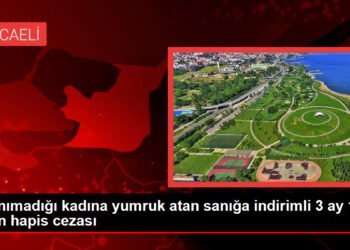 Kadına Yumruk Atan Sanığa Ceza Verildi