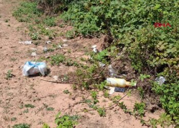 Orman Yangınlarıyla İlgili İtfaiye Amiri Uyarıyor