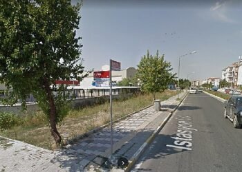 Otluk alandan yeşil alana