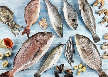 Türkiye’nin 6 aylık su ürünleri ihracatı 829 milyon dolara ulaştı