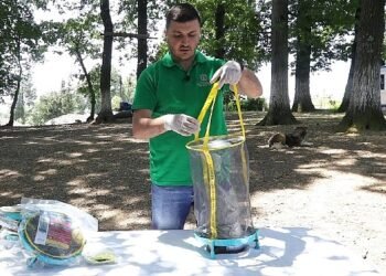 Vektör mücadelesinde karasinek tuzağı