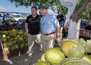 Başkan Soyer domates ve karpuz hasadına katıldı