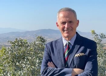 Ceviz Üreticileri Derneği Başkanı Ömer Ergüder: Yerli ceviz üreticilerini desteklemek ve ithalatın önüne geçmek için gümrük vergileri artırılmalı