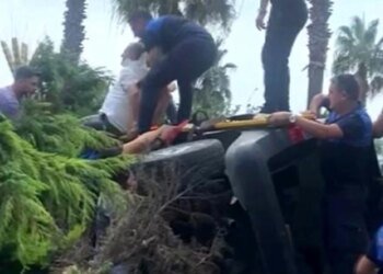 Darıca’da freni tutmayan araç ağaca çarptı
