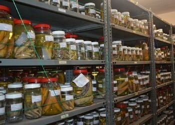 EÜ Su Ürünleri Fakültesi Bilimsel Materyal Koleksiyonu 4 binden fazla türü bünyesinde barındırıyor