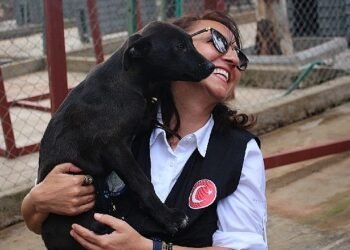 Karşıyaka Belediyesi, can dostlara huzurlu bir hayat sunuyor