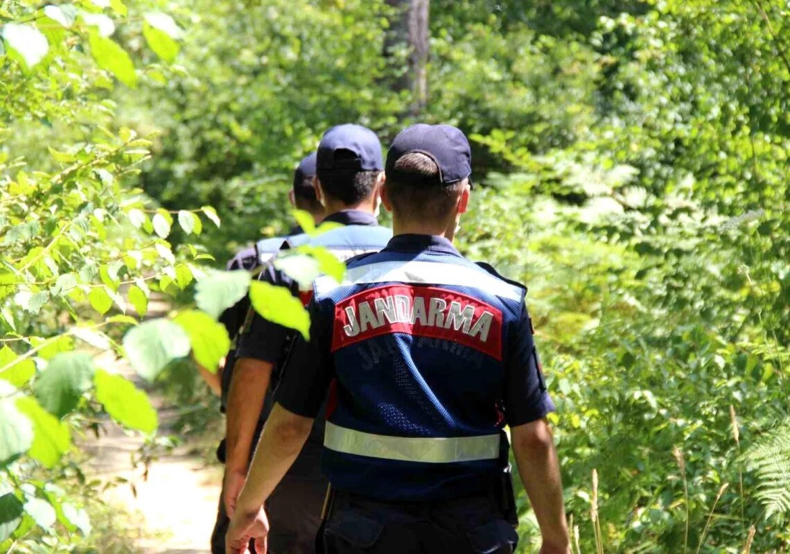 Kocaeli Valiliği Ormanlara Girişleri Yasakladı