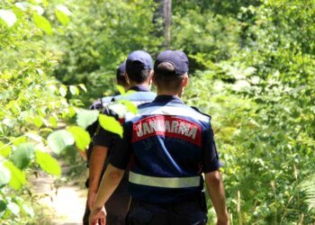 Kocaeli Valiliği Ormanlara Girişleri Yasakladı