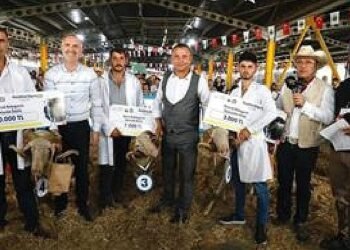 3. Küçükbaş Hayvancılık Festivali Başlıyor