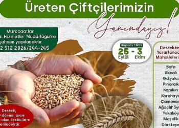%50 Hibeli Buğday ve Tritikale Tohumu desteği başlıyor