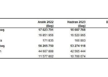 Büyükbaş hayvan sayısı 2023 yılı Haziran ayında 16 milyon 688 bin baş oldu