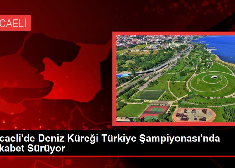 Kocaeli’de Deniz Küreği Türkiye Şampiyonası’nda Rekabet Sürüyor
