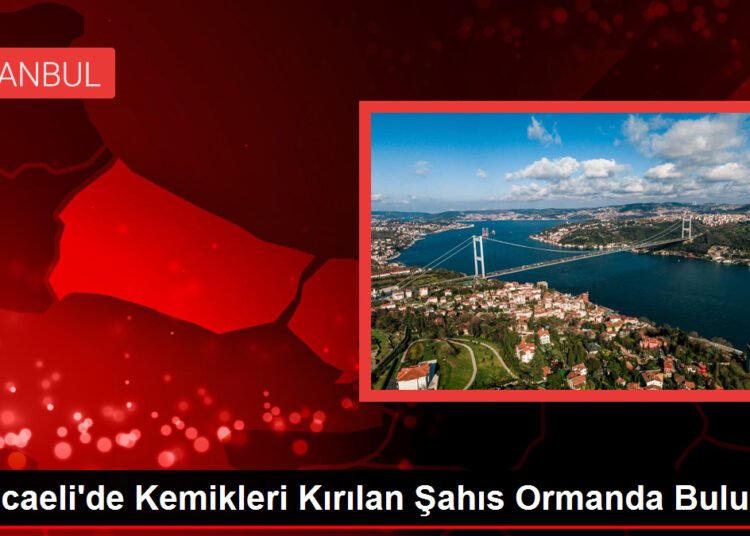 Kocaeli’de Kemikleri Kırılan Şahıs Ormanda Bulundu