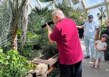 Konya Tropikal Kelebek Bahçesi yaz aylarının favori ziyaret mekanı oldu