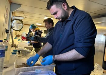 5 yıl sürmesi planlanan İzmit Körfez Temizliği projesi