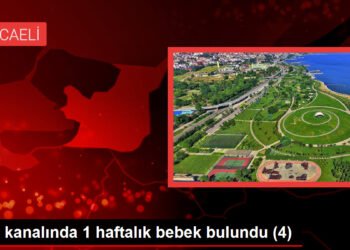 BEBEĞİ BIRAKAN KİŞİ ANNESİYMİŞ