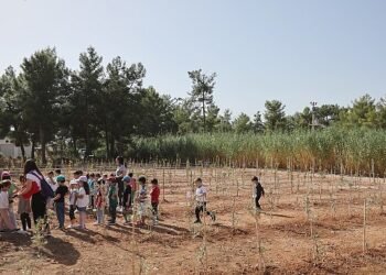 Büyükşehir Belediyesi 100. Yıl Hatıra Ormanı oluşturdu