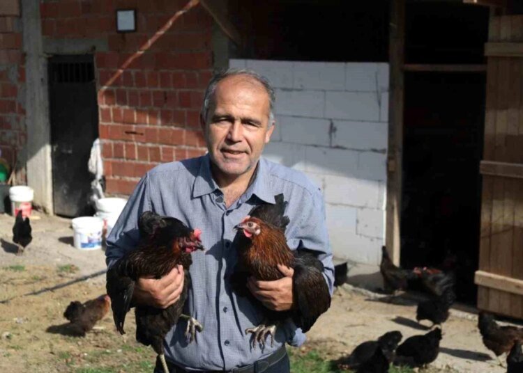 Kırsal kalkınmaya yumurta dopingi