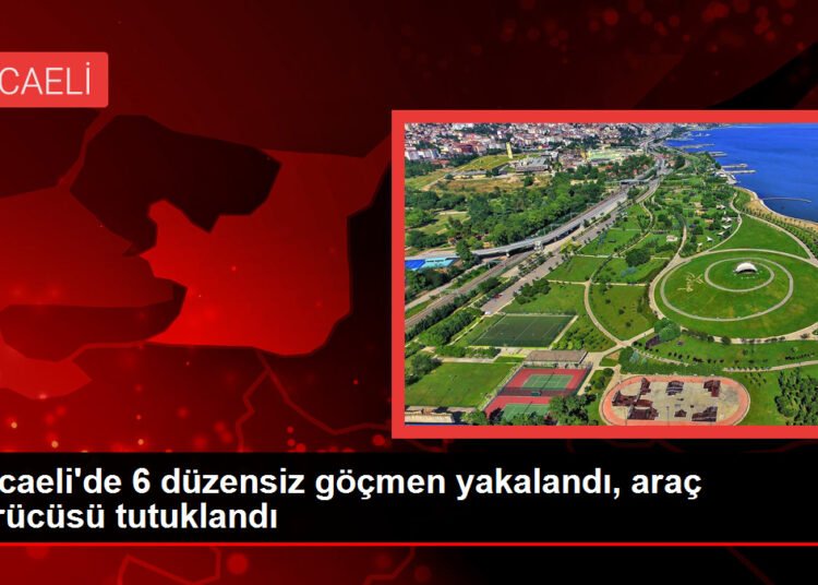 Kocaeli’de 6 düzensiz göçmen yakalandı, araç sürücüsü tutuklandı