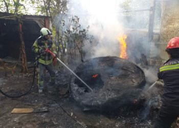 Yangından kurtarıldı suyla soğutuldu doğaya salındı   