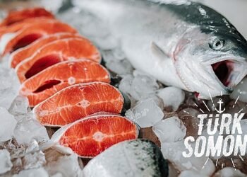 Dünya Türk levreği ve çipurasını taze, Türk somonu ve alabalığını dondurulmuş sevdi