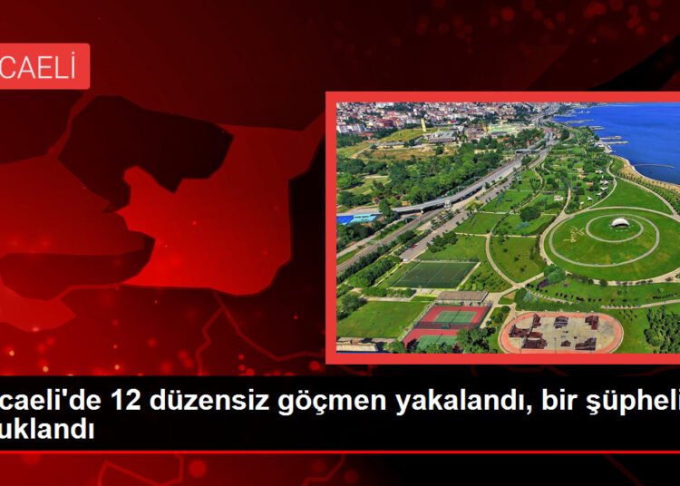 Kocaeli’de 12 düzensiz göçmen yakalandı, bir şüpheli tutuklandı