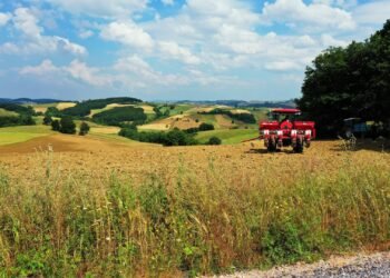 Büyükşehir’in gübre desteğine üreticilerden yoğun ilgi