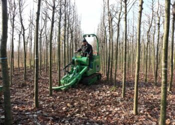 Büyükşehir’in yetiştirdiği on binlerce fidan kente nefes oluyor