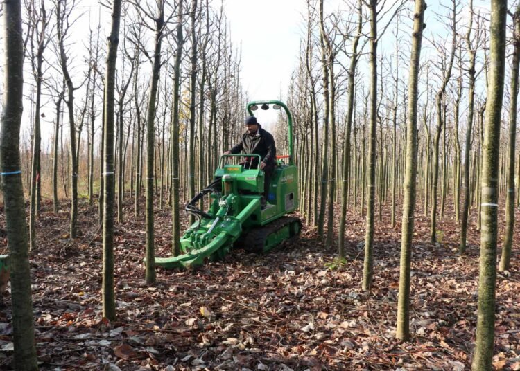 Büyükşehir’in yetiştirdiği on binlerce fidan kente nefes oluyor