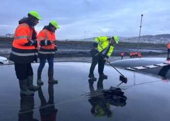 Dip çamuru temizliğine uluslararası basından ilgi
