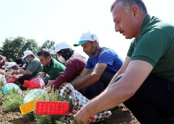 Büyükşehir’den tarıma 236 milyon 210 bin TL destek