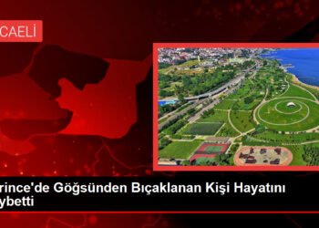 Derince’de Göğsünden Bıçaklanan Kişi Hayatını Kaybetti