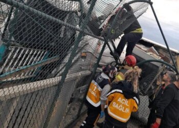 Çayırova’da Dondurulmuş Tavuk Yüklü Tır Devrildi