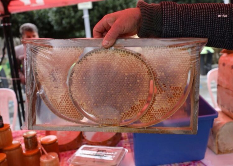 İzmit Bal Günleri Başladı