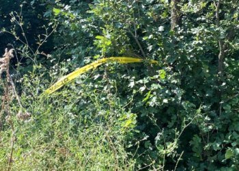 İzmit’te Komşusunu Öldüren Sanık İlk Kez Hakim Karşısına Çıktı