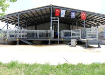 Kocaeli Büyükşehir Belediyesi Mezbahası’nda 2023 yılında insan sağlığını koruyan teknoloji ile 7 bin 672 hayvanın helal kesimi yapılırken, kasaplara 2 milyon 41 bin 969 kilo sağlıklı et teslim edildi