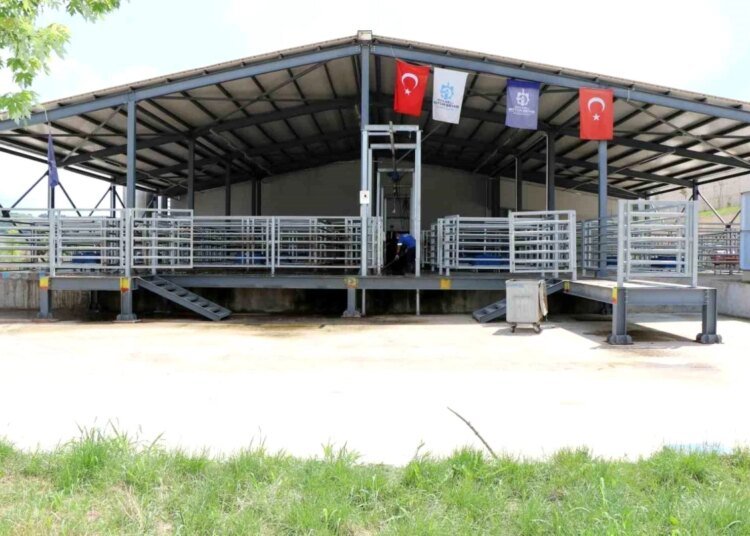 Kocaeli Büyükşehir Belediyesi Mezbahası’nda 2023 yılında insan sağlığını koruyan teknoloji ile 7 bin 672 hayvanın helal kesimi yapılırken, kasaplara 2 milyon 41 bin 969 kilo sağlıklı et teslim edildi