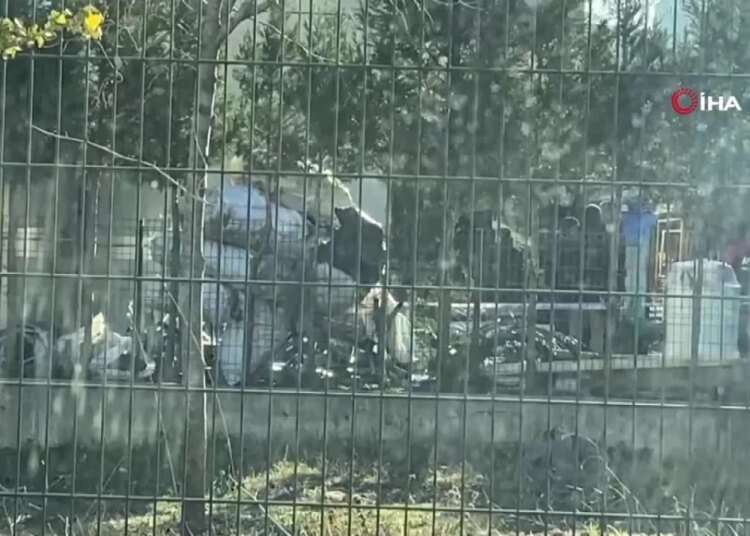 Organize Sanayi Bölgesi’nde kimyasal sızıntı alarmı: Gökyüzünü turuncu duman kapladı