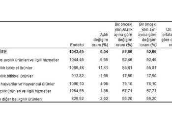 Tarım ürünleri üretici fiyat endeksi (Tarım-ÜFE) yıllık yüzde 52,66, aylık yüzde 6,34 arttı