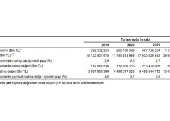 Turizm Uydu Hesabı, 2019-2022
